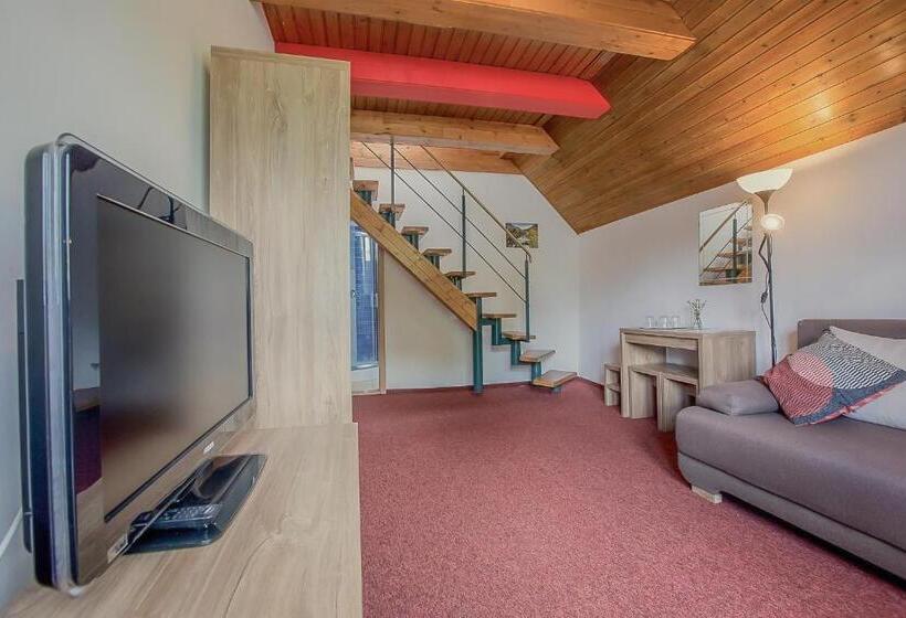 بنسيون Penzión Lomnicky