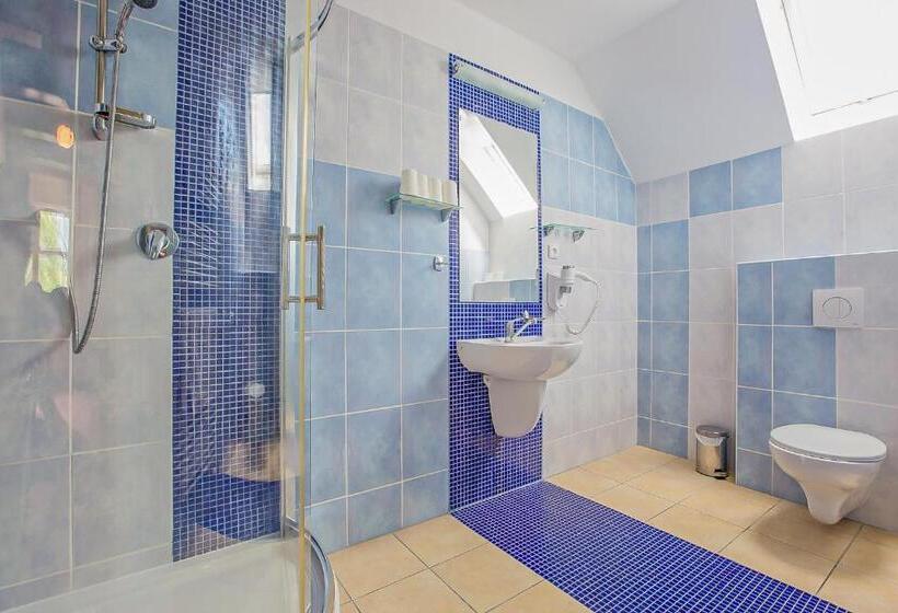 بنسيون Penzión Lomnicky