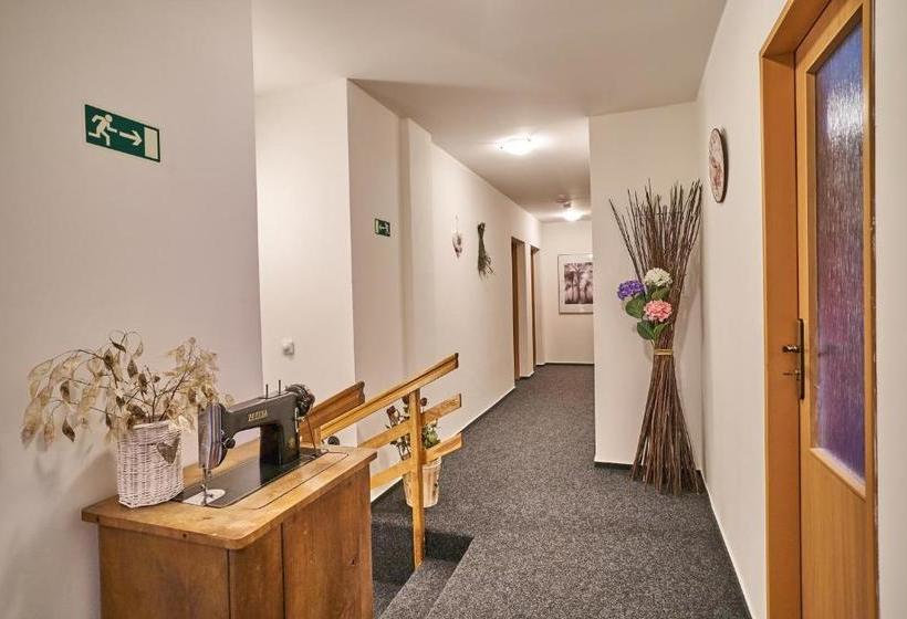 פנסיון Penzion Pod Třešňovkou