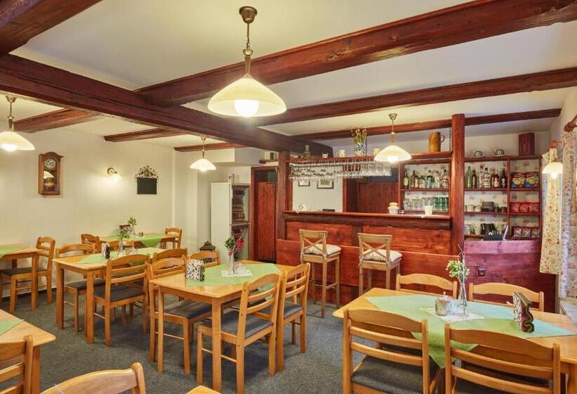 פנסיון Penzion Pod Třešňovkou