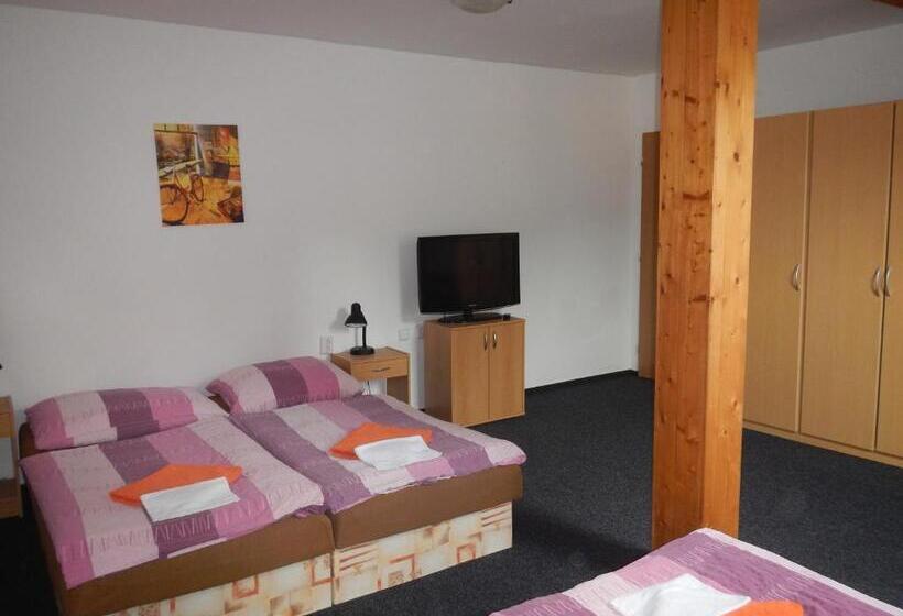 פנסיון Penzion Pod Třešňovkou