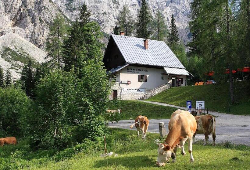 پانسیون Planinska Koča Na Gozdu