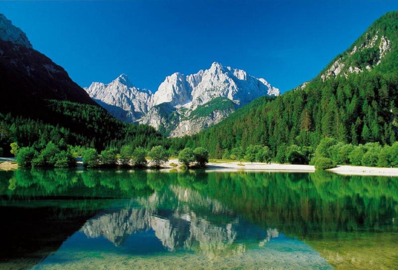 پانسیون Planinska Koča Na Gozdu