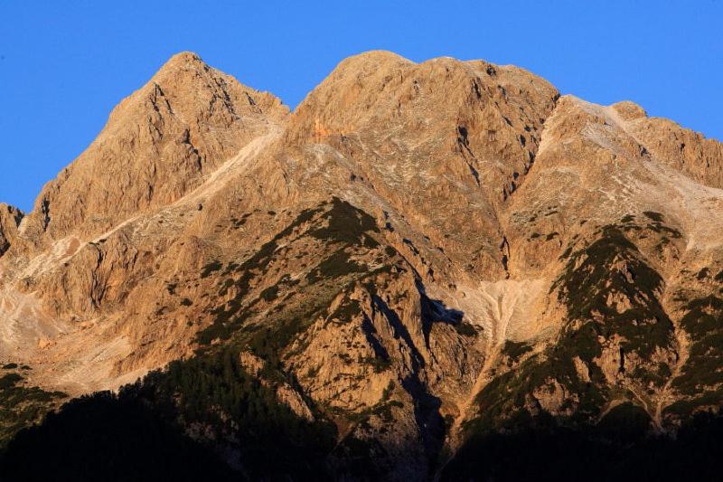 پانسیون Planinska Koča Na Gozdu