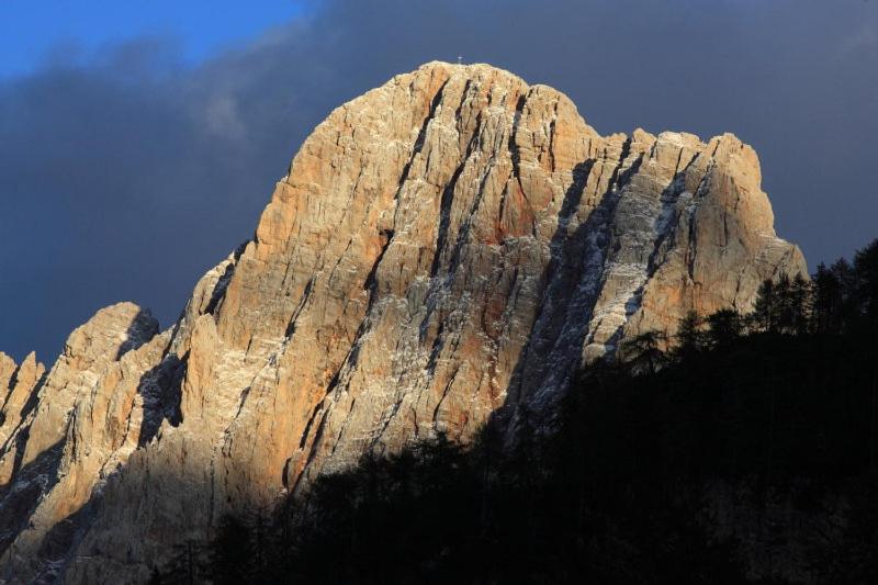 پانسیون Planinska Koča Na Gozdu