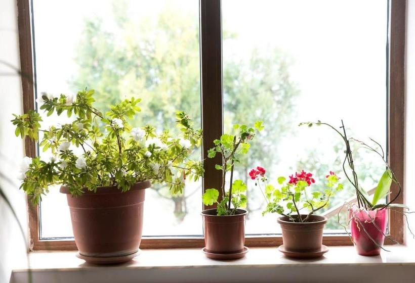 פנסיון Step Inn