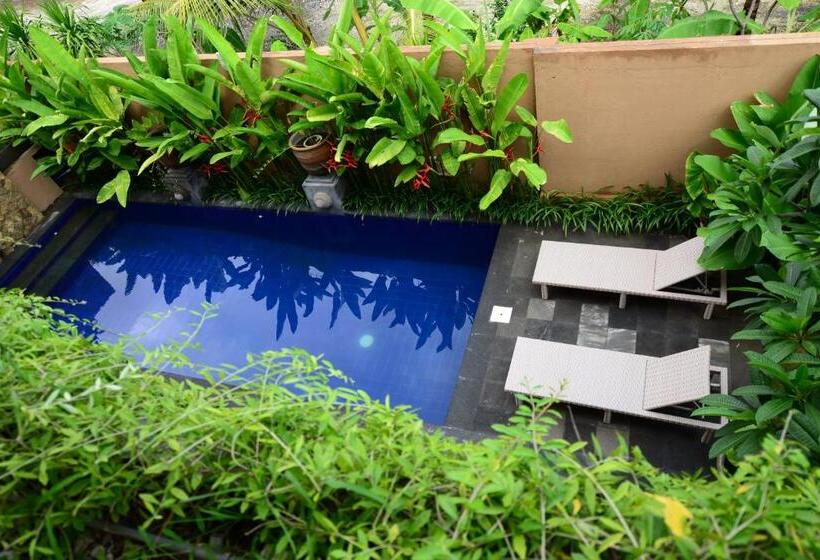 膳宿费 Surya Guest House Sanur