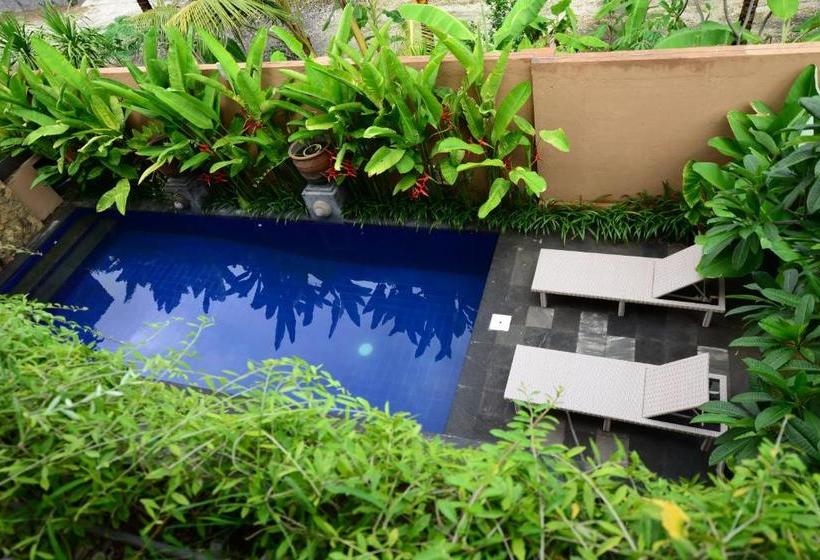 膳宿费 Surya Guest House Sanur