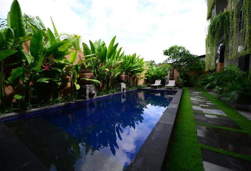 膳宿费 Surya Guest House Sanur