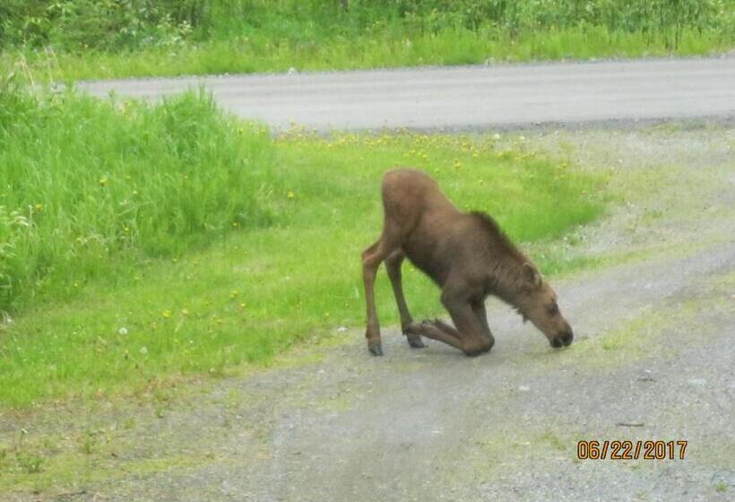 Whispering Winds Retreat B&b