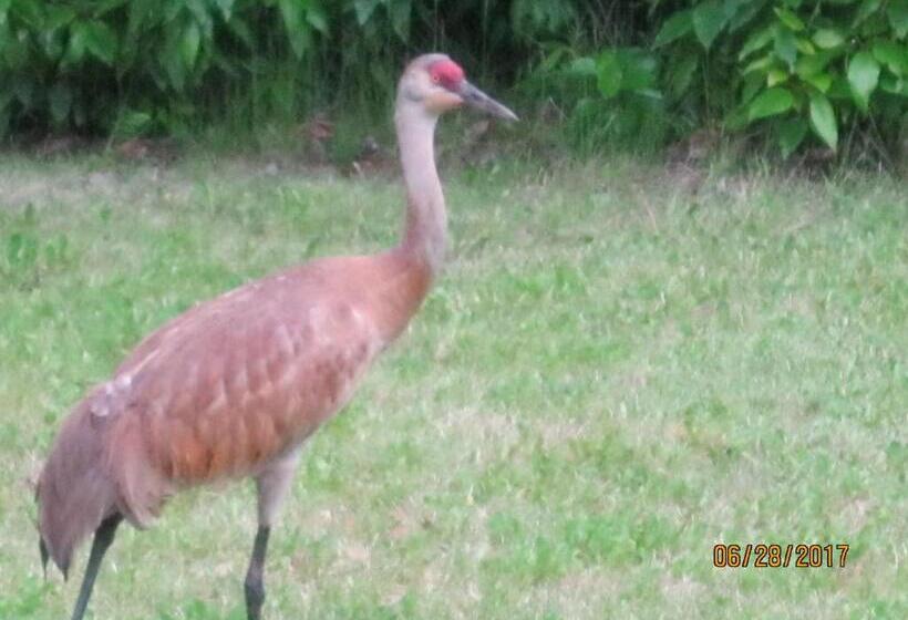 Whispering Winds Retreat B&b