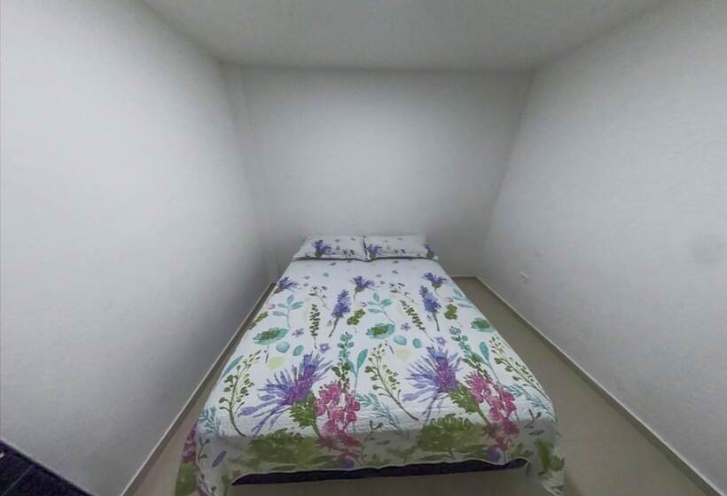 ユースホステル Apartamentos Isla Tropical