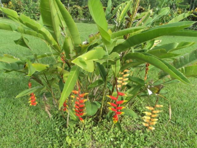 فندق صغير Posada Rural Oasis