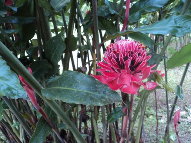 فندق صغير Posada Rural Oasis