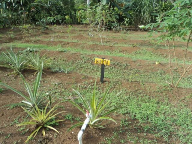 הוסטל Posada Rural Oasis