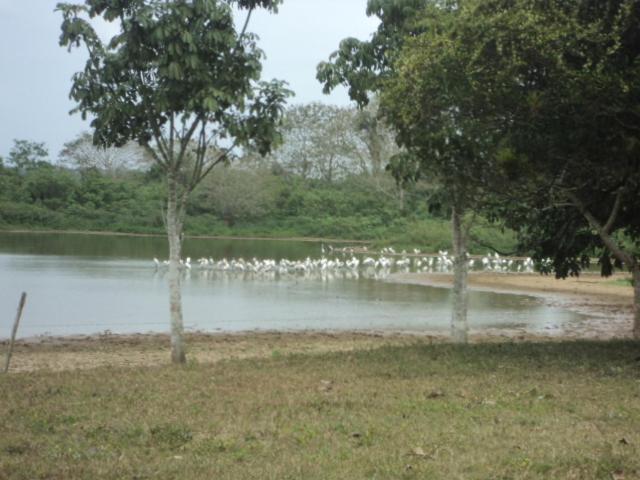 הוסטל Posada Rural Oasis