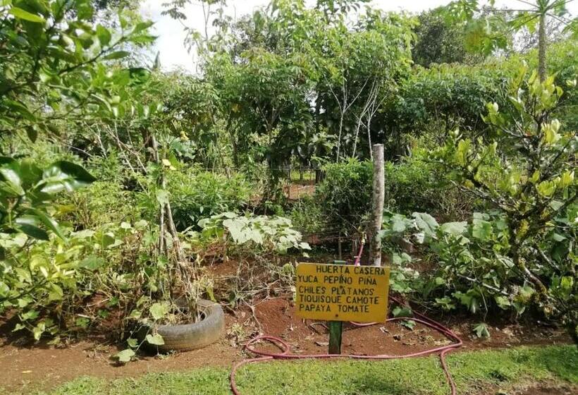 فندق صغير Posada Rural Oasis