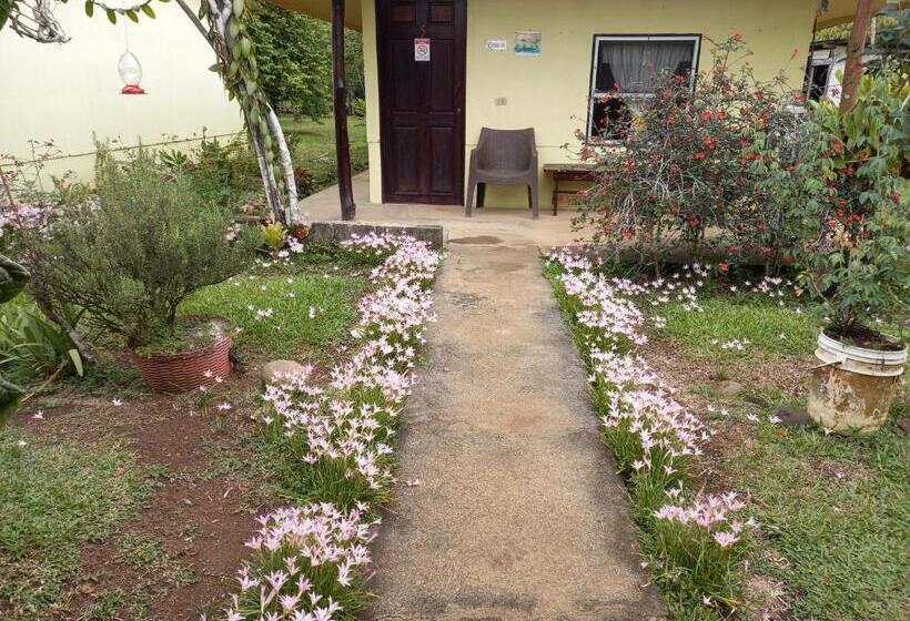 הוסטל Posada Rural Oasis