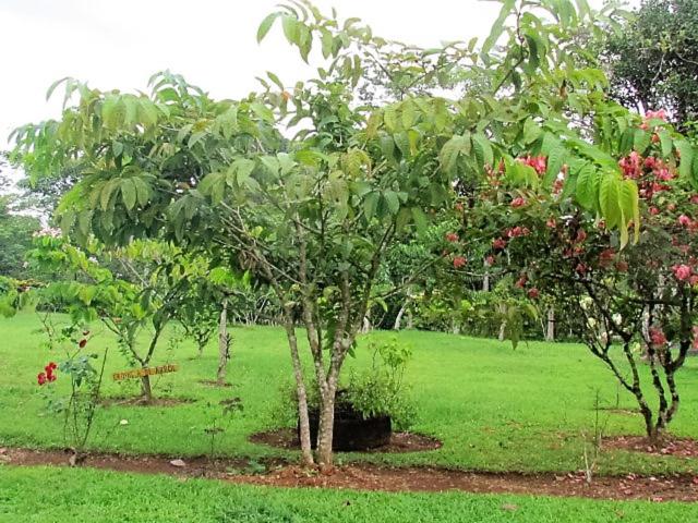 فندق صغير Posada Rural Oasis