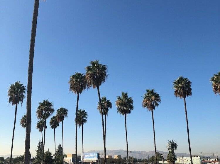 모텔 Palm Tree Inn