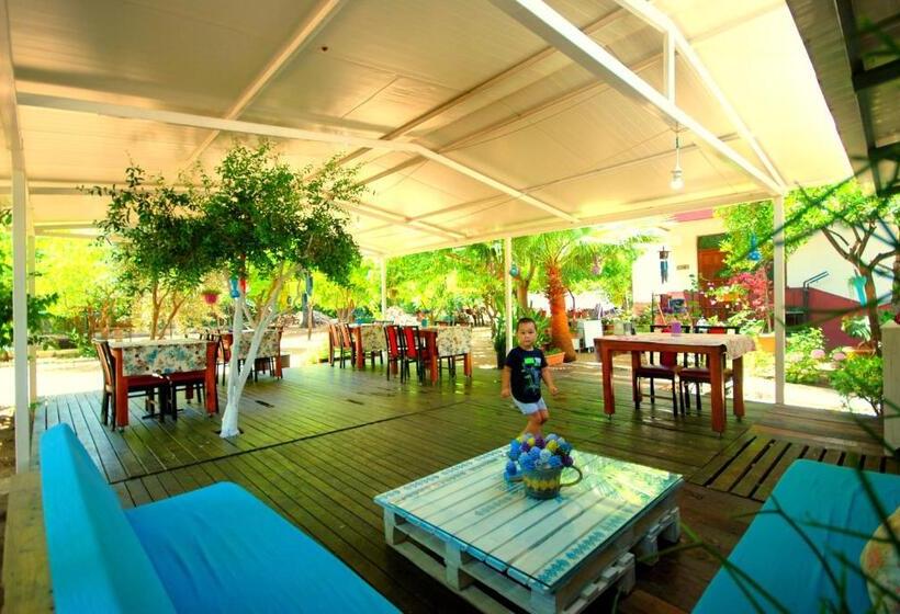 پانسیون Cemils Guest House