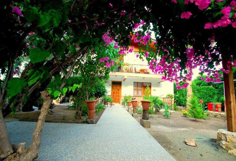 پانسیون Cemils Guest House