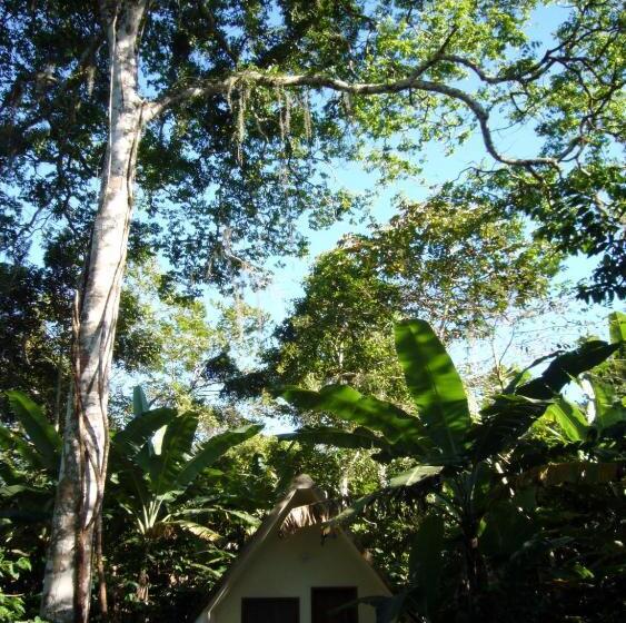 Пансион Chalés Sítio Do Alemão