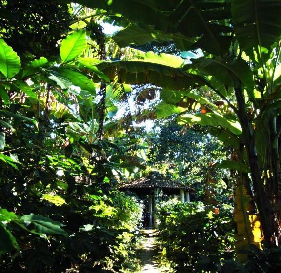 Пансион Chalés Sítio Do Alemão