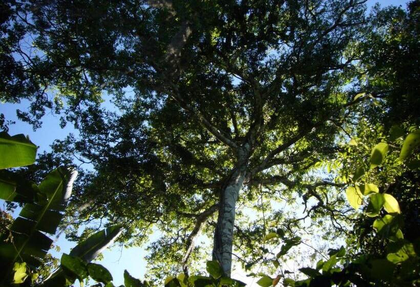 Пансион Chalés Sítio Do Alemão