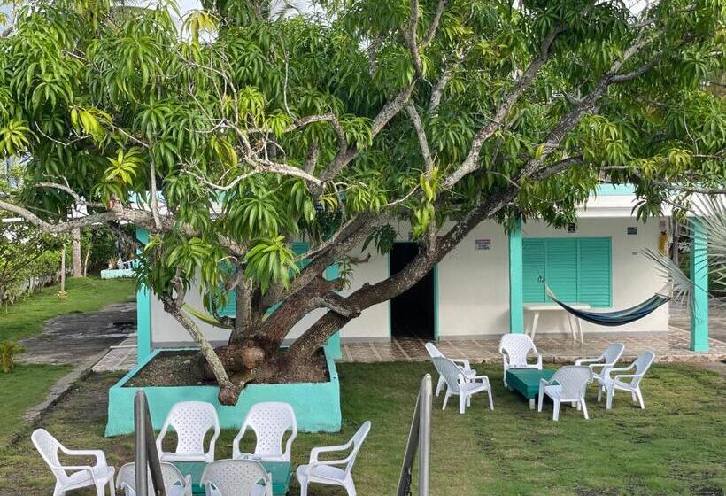 פנסיון Costa De Vikingos