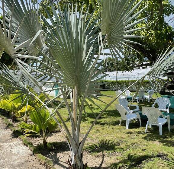 פנסיון Costa De Vikingos