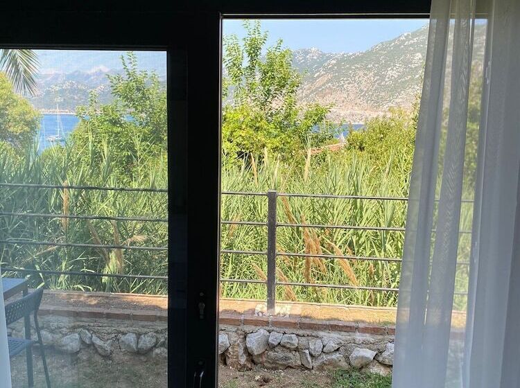 بنسيون Gala Selimiye