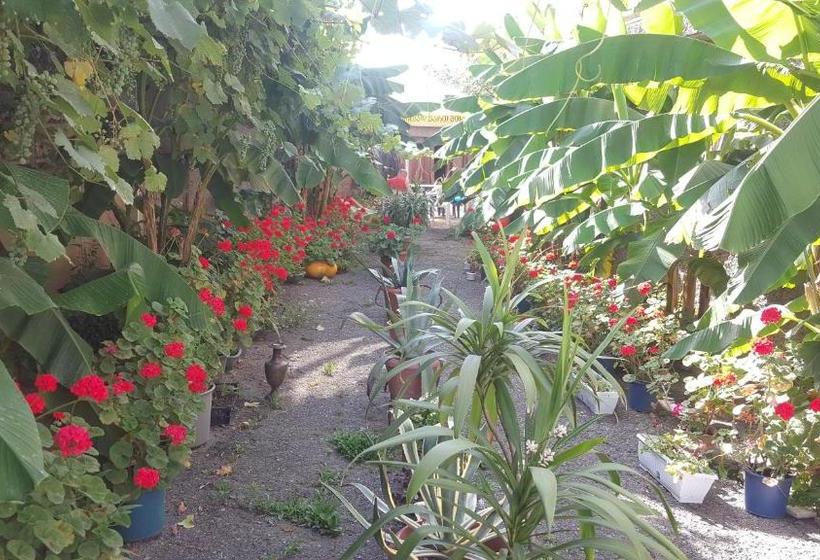 پانسیون Guest House Cico