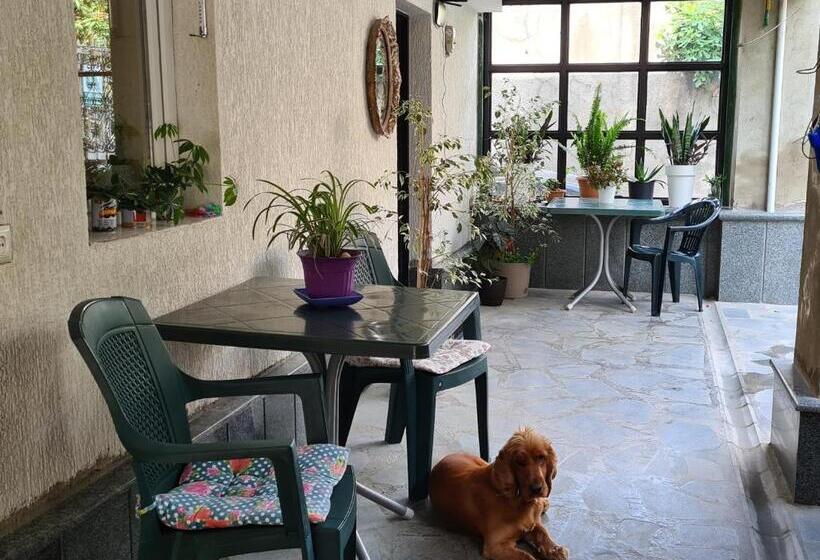 پانسیون Guest House Panda