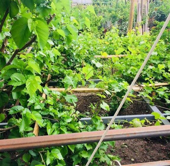 پانسیون Guesthouse Berlin