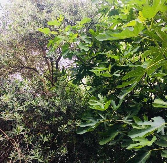 پانسیون Guesthouse Berlin