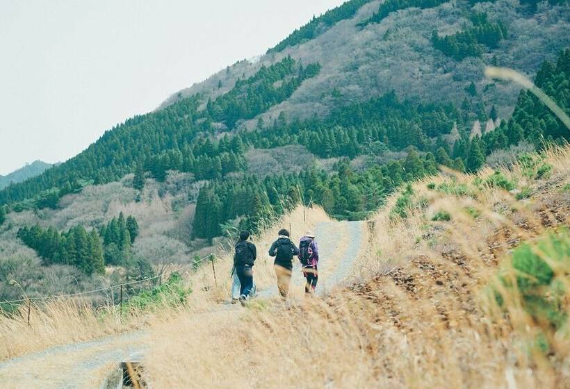 膳宿费 Lamp Bungo Ohno   Vacation Stay 72179v