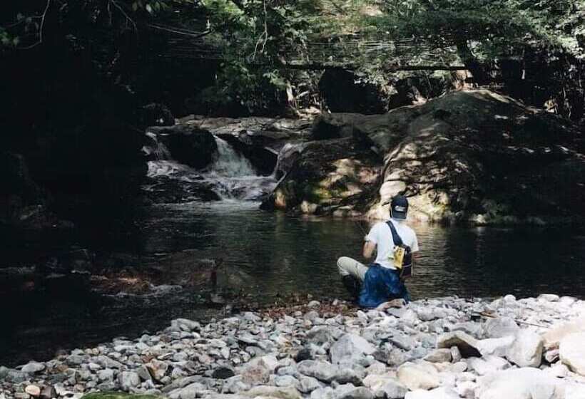 膳宿费 Lamp Bungo Ohno   Vacation Stay 72179v