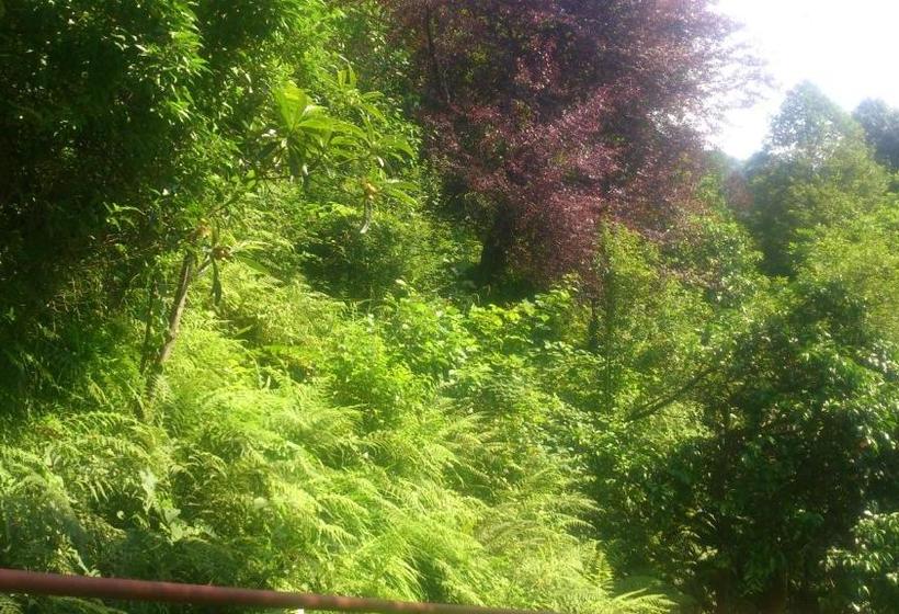 پانسیون Temo S Guest House In Kvariati