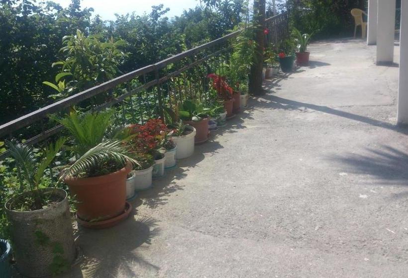 پانسیون Temo S Guest House In Kvariati