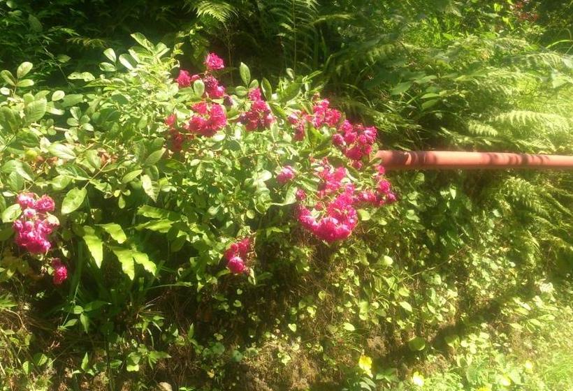 پانسیون Temo S Guest House In Kvariati