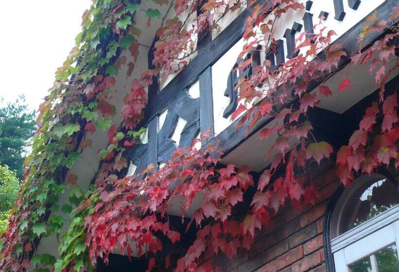 旅馆 Country Inn Mori No Gorilla