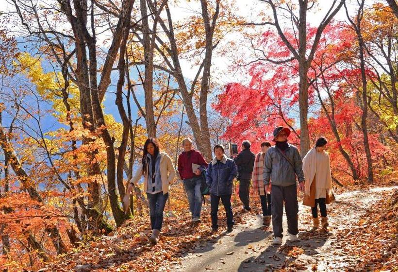 旅馆 Country Inn Mori No Gorilla