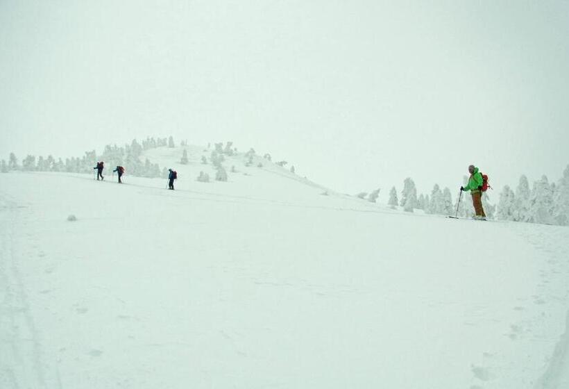 旅馆 Country Inn Mori No Gorilla