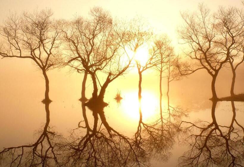 旅馆 Country Inn Mori No Gorilla