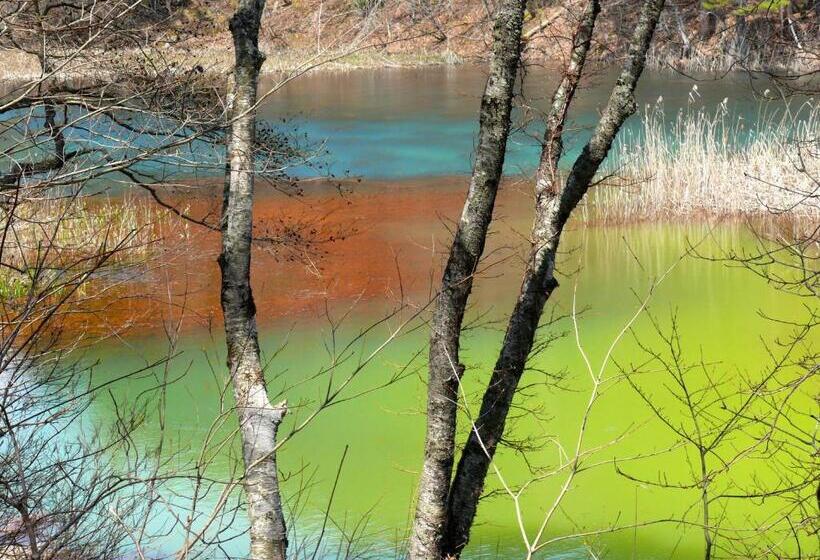 旅馆 Country Inn Mori No Gorilla