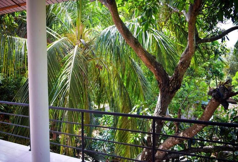 הוסטל Vishmee Holiday Inn