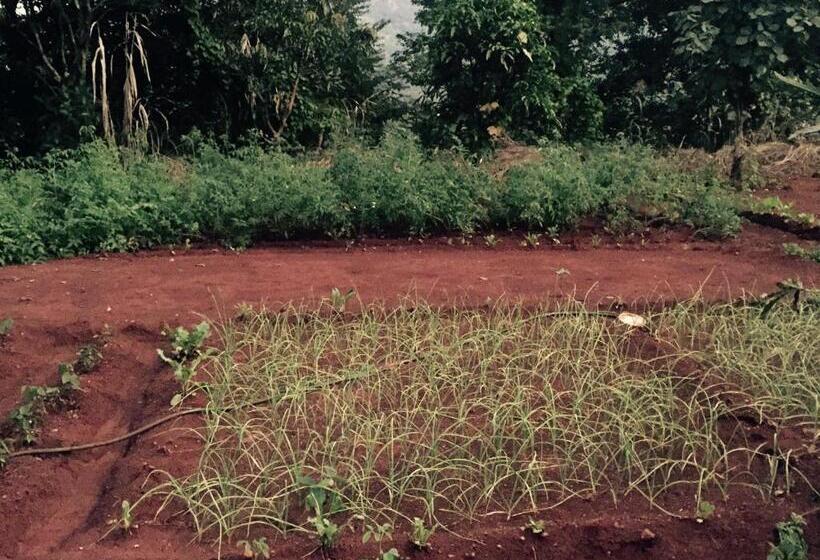 בית מלון כפרי West Valley Farm Villa