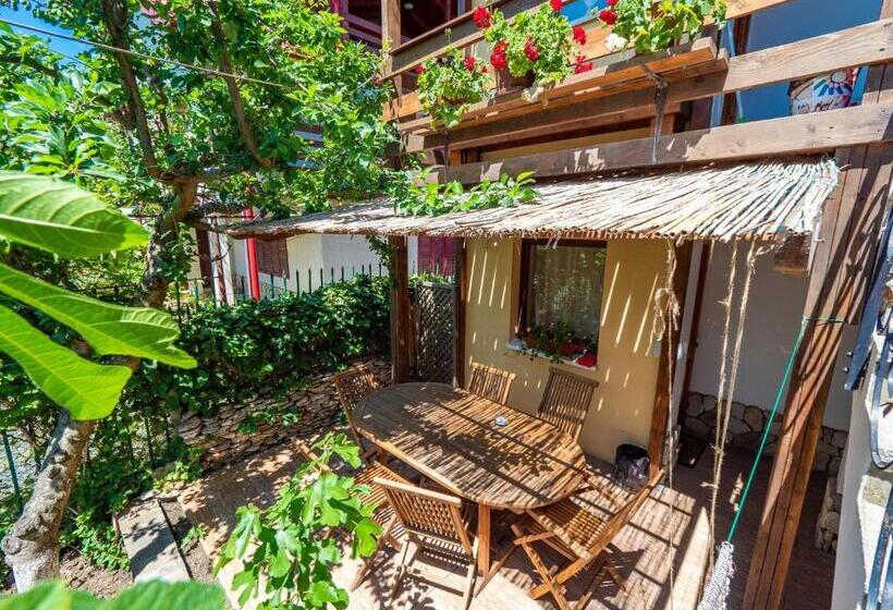 פנסיון Casa Nikita