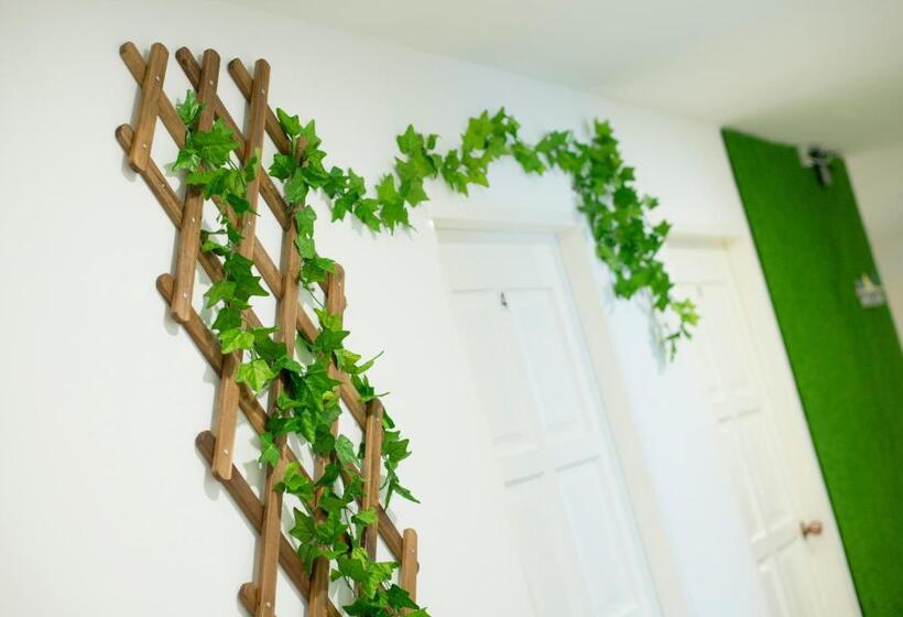 פנסיון Hard Rock Vip Guest House